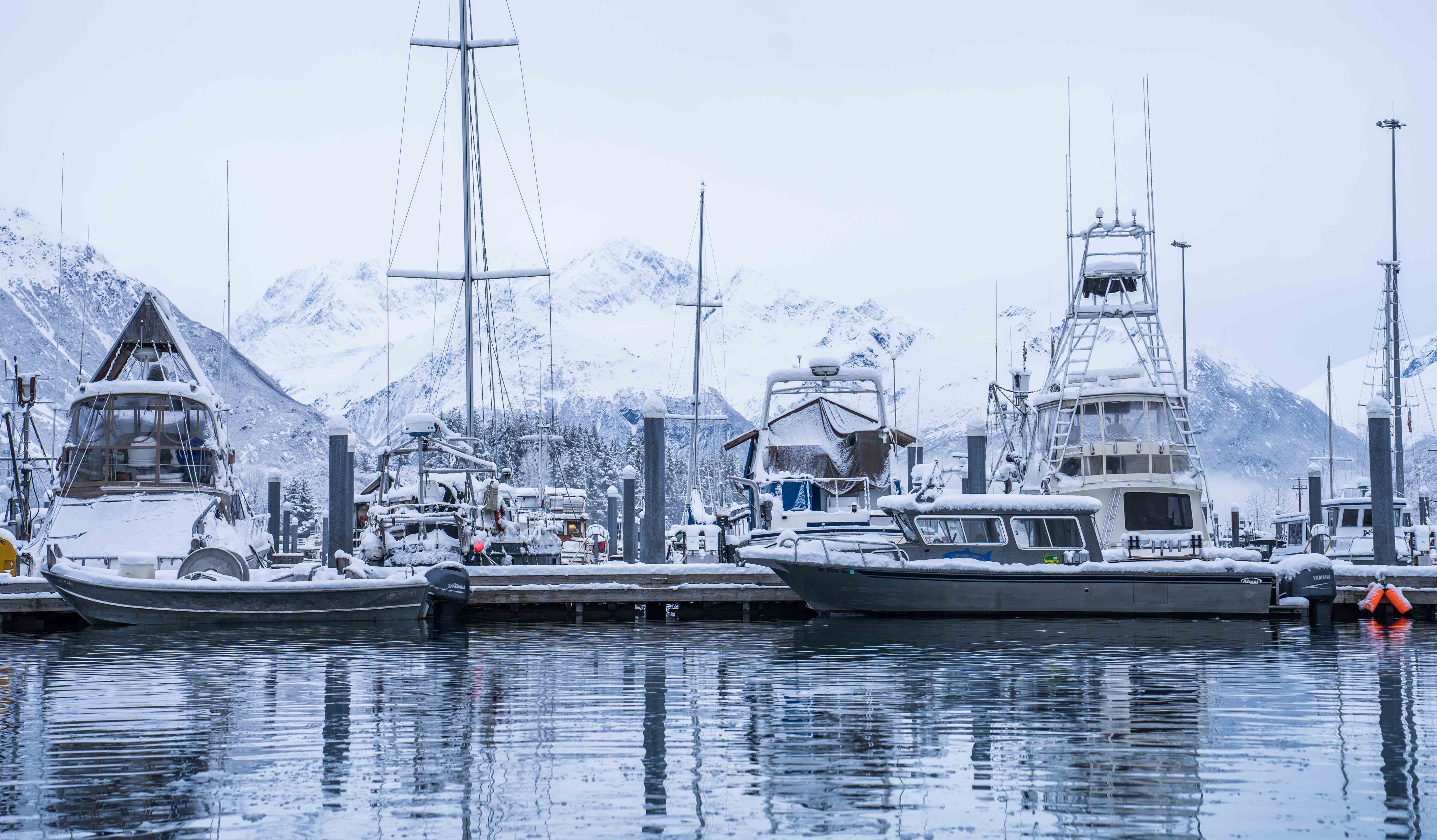Valdez Harbor. Photo by Jeff Fisher