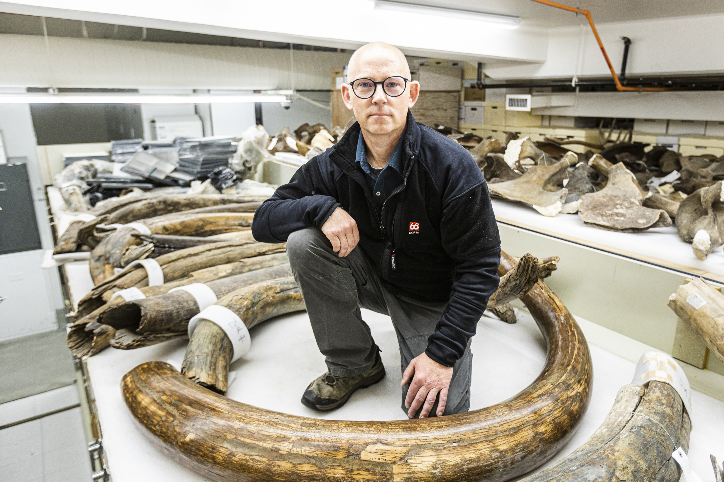 Matthew Wooller kneels among the mammoth tusk collection at the University of Alaska Museum of the North.