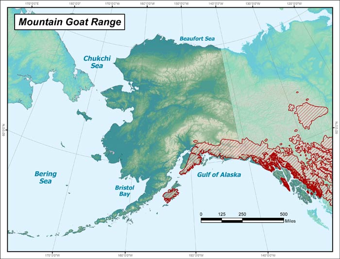 a map of Alaska labeled "Mountain Goat Range" with red crosshatches indicating the goats' territory in the southeast extending into Canada.