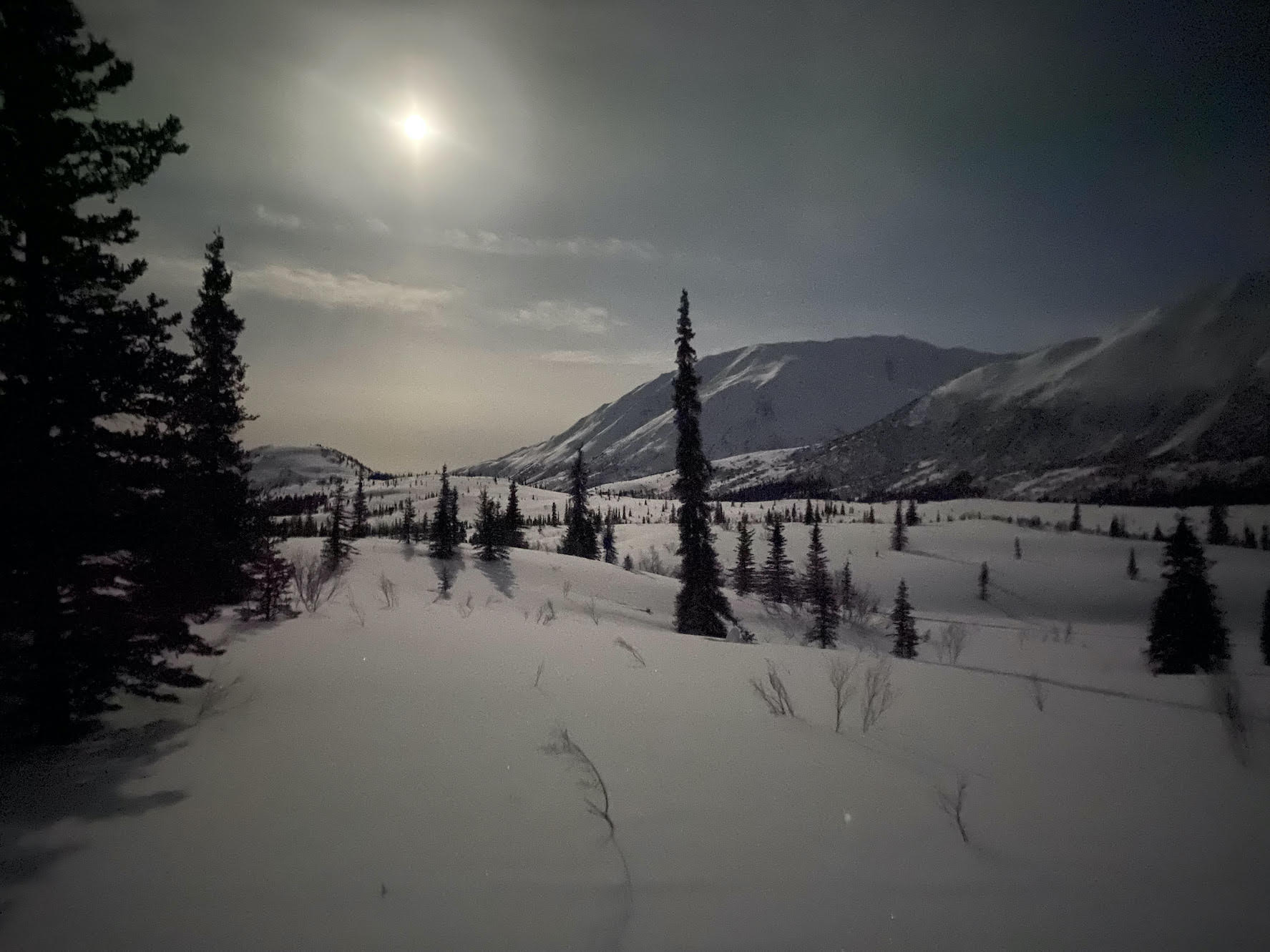 The moon shines on a snowy mountainous landscape studded by spruce trees.