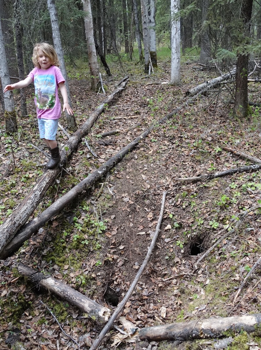 A 6-year-old girl walks on a log suspended above a depression in a forest floor.