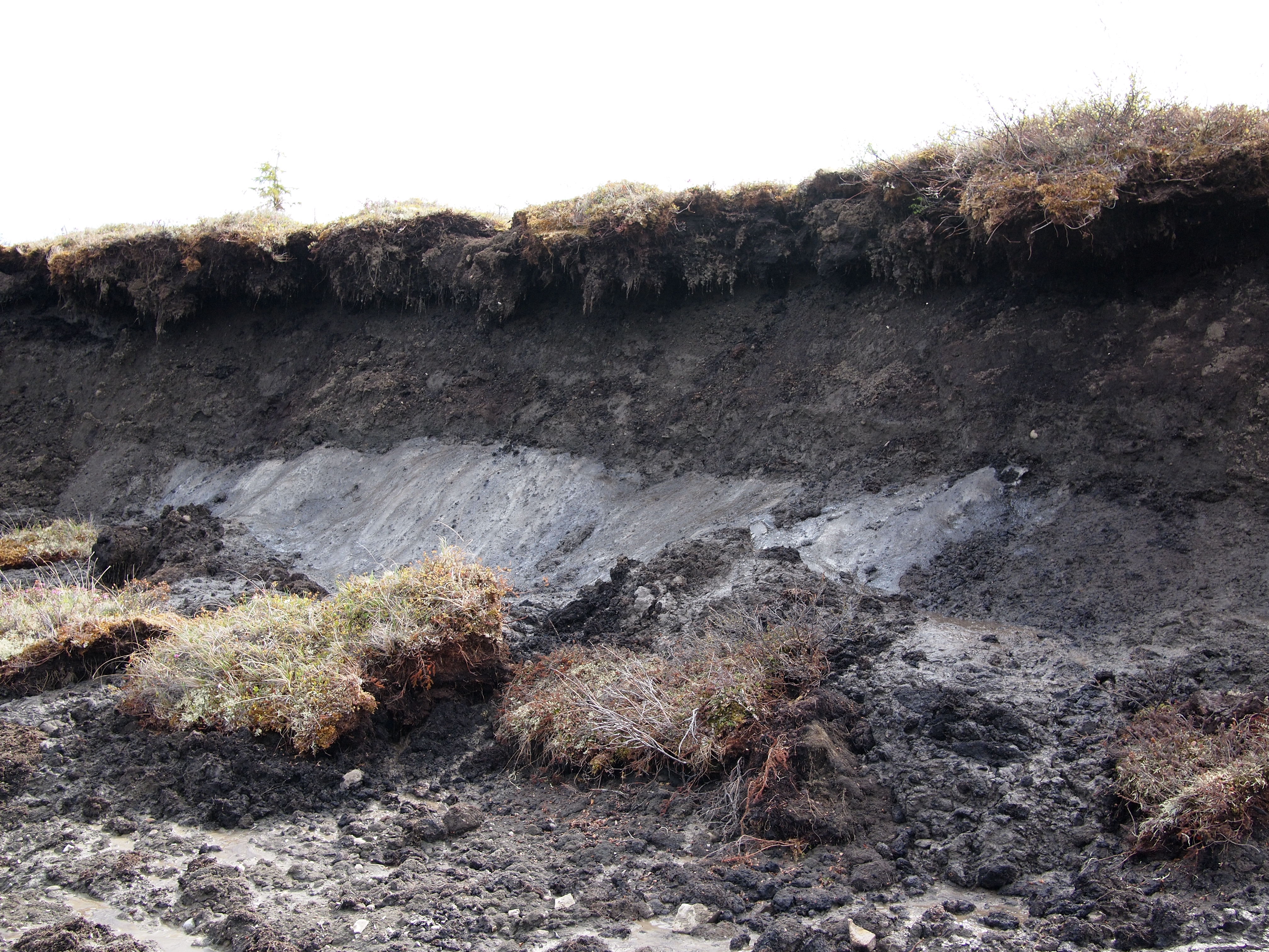 Exposed permafrost in Canada