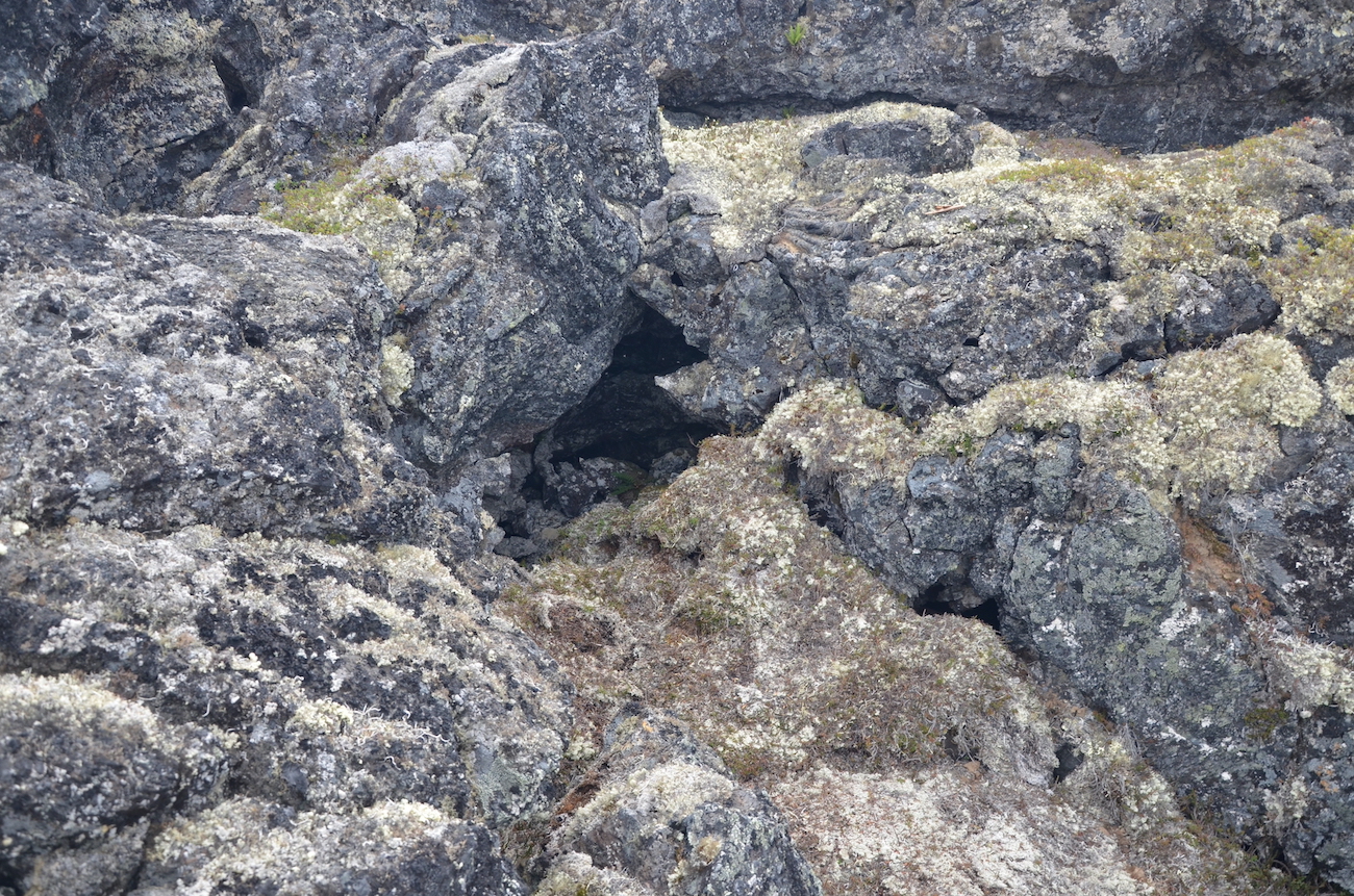 A dark hole is formed by jumbled rocks covered with lichens.