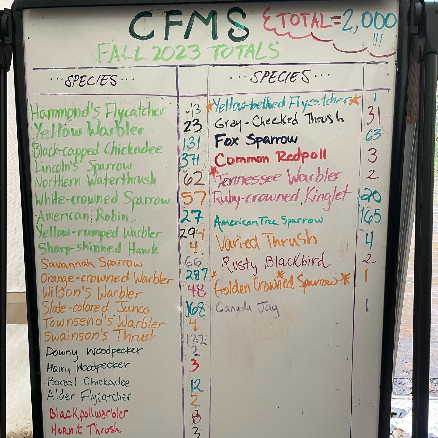 Handwriting in colored markers on a whiteboard shows multiple bird species names in two columns and the numbers counted of each in another narrower column to the sides of the names.