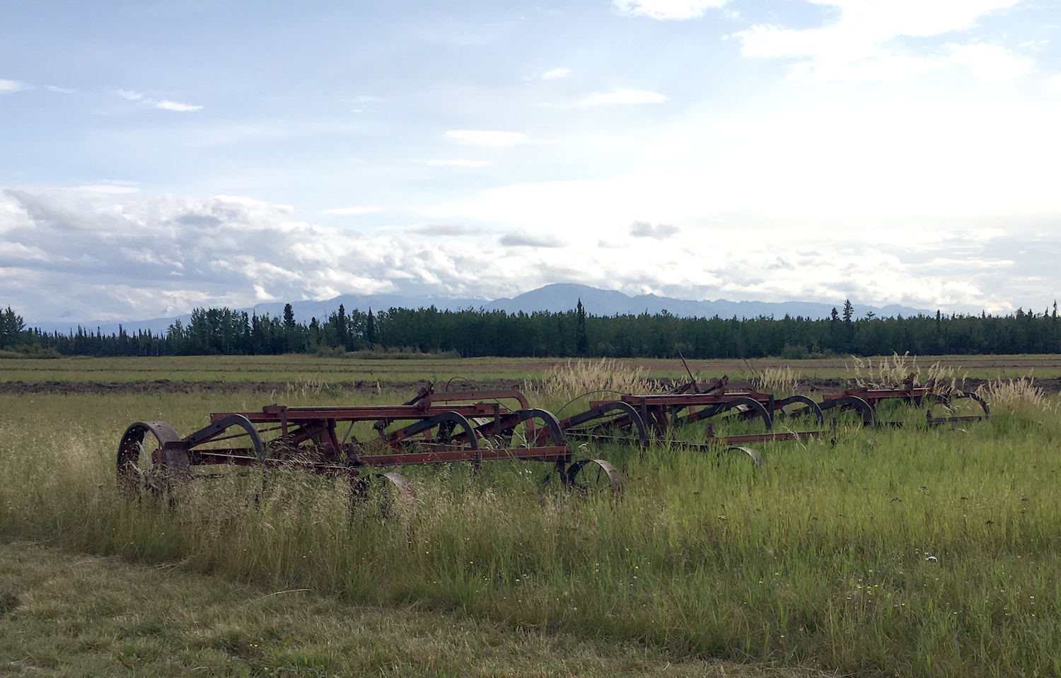 Old farm equipment sits in tall grass within a field, with evergreen trees and mountains in the background.