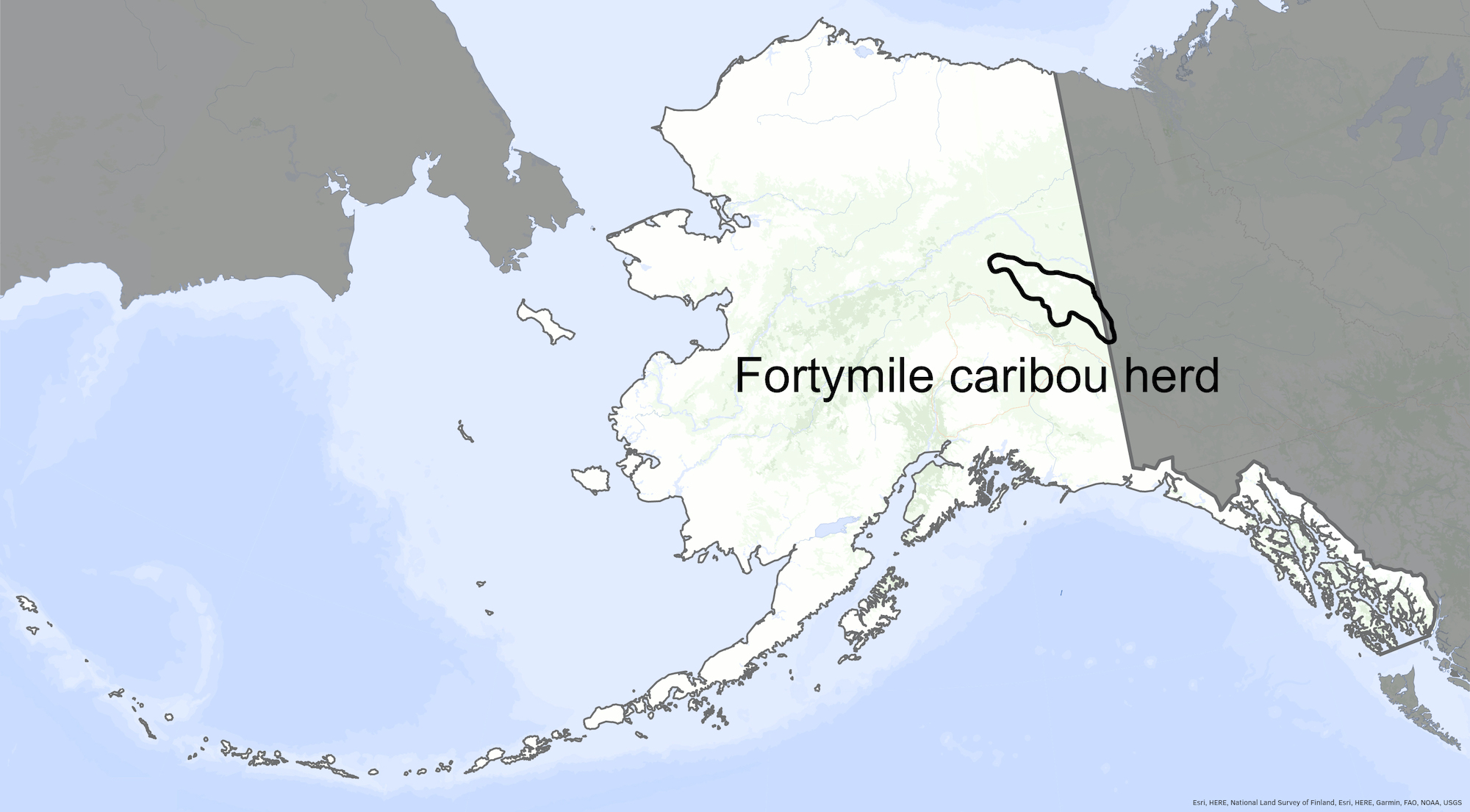 A black outline on a map shows the territory of the Fortymile caribou herd in eastern Alaska and western Canada.
