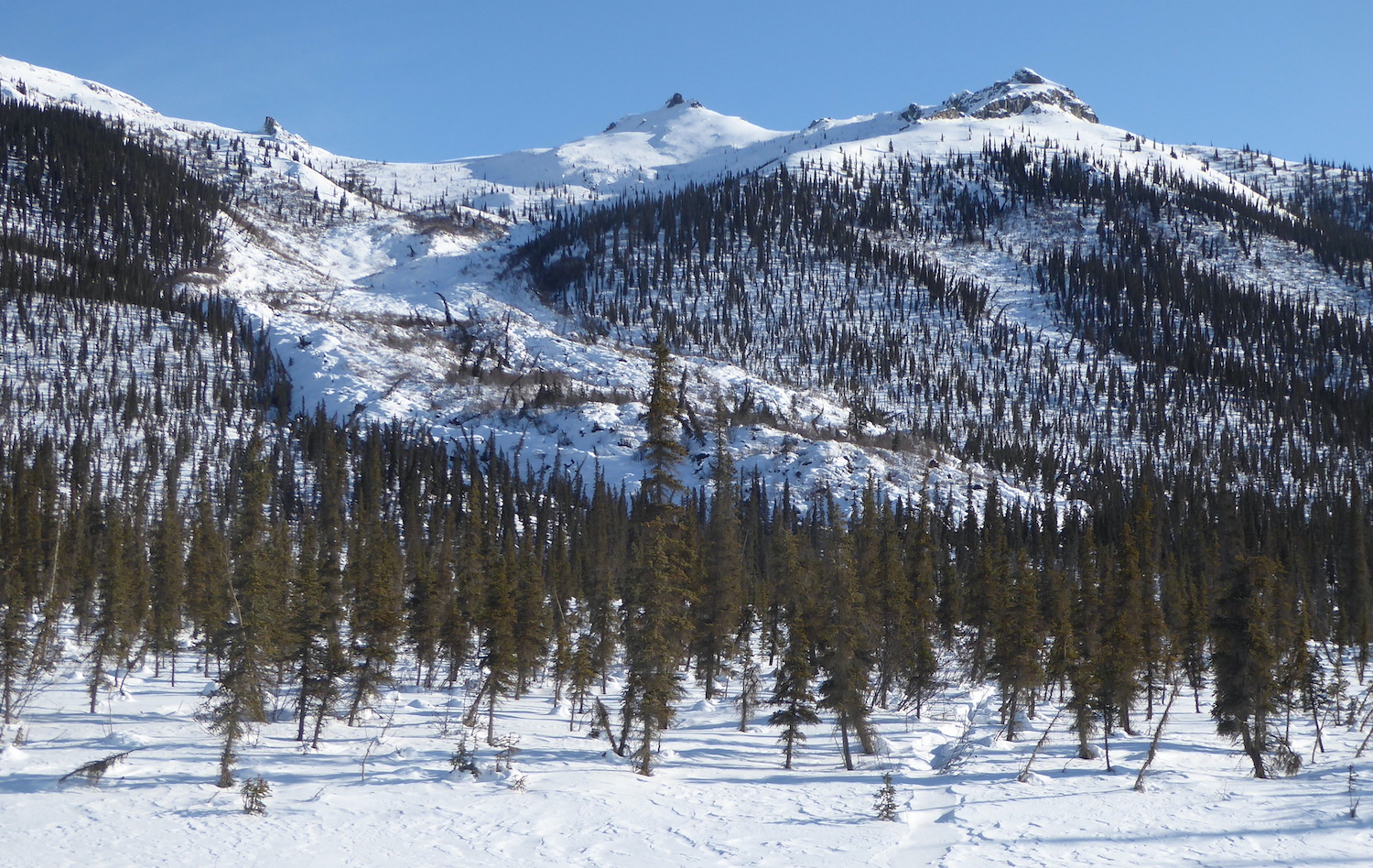 On a sunny day, a lobe of snow-covered rocks and jumbled trees fills a valley within mountains with spruce trees on their lower slopes.
