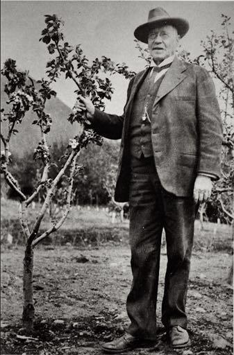 An elderly man in a suit and hat stands with one hand on a small apple tree.