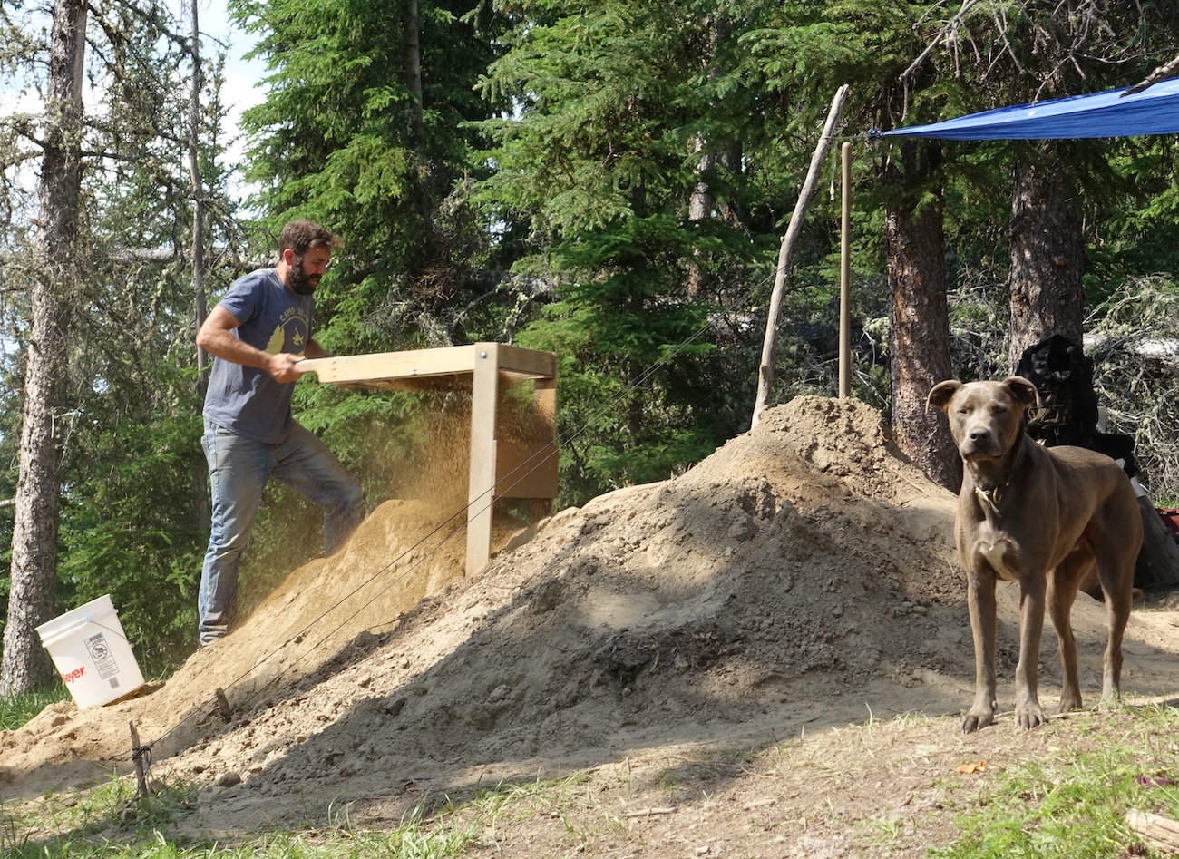 At left, a man in a blue shirt and jeans shakes a screen box, from which soil drops through onto a pile below. At right, a gray dog looks at the photographer. Spruce trees form the backdrop.