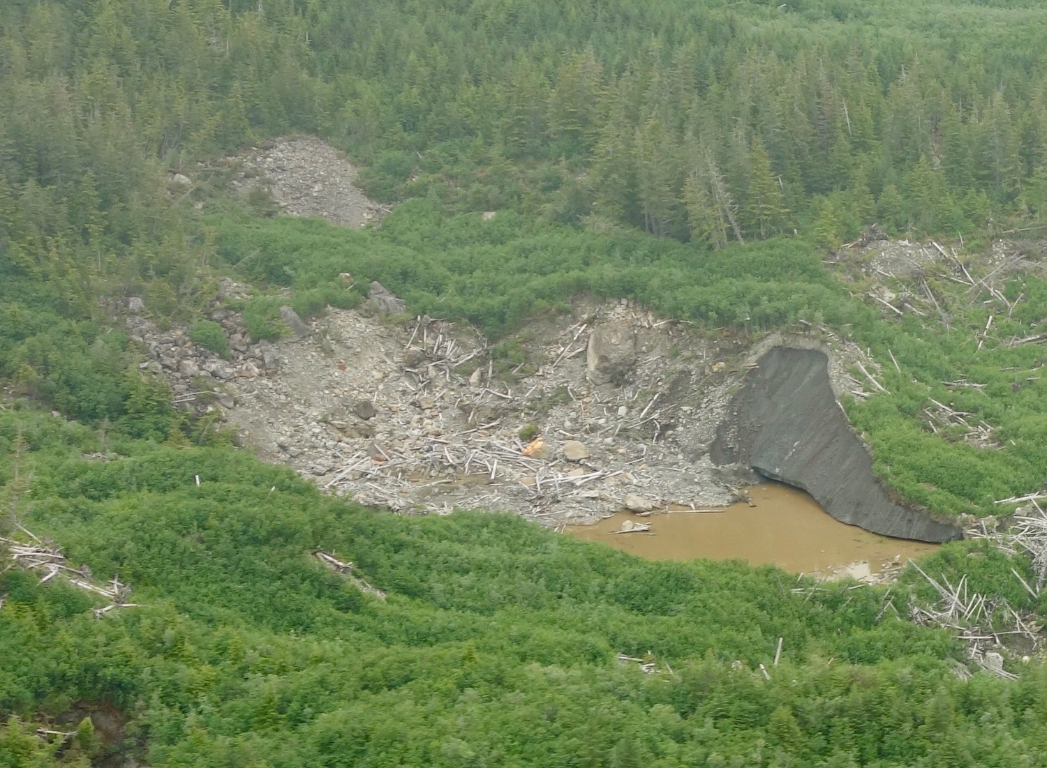A hole in a glacier exposes gravel and ice, and lies surrounded by green deciduous and evergreen trees.