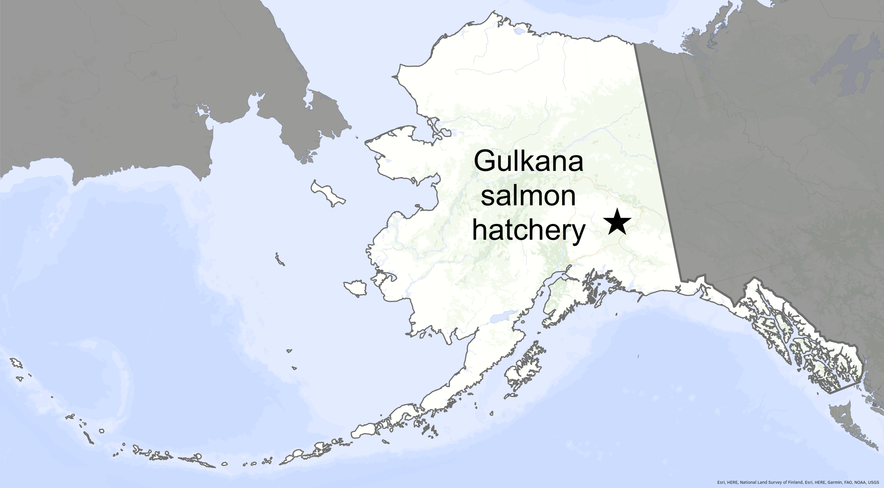 A map shows the location of the Gulkana Salmon Hatchery in Interior Alaska.
