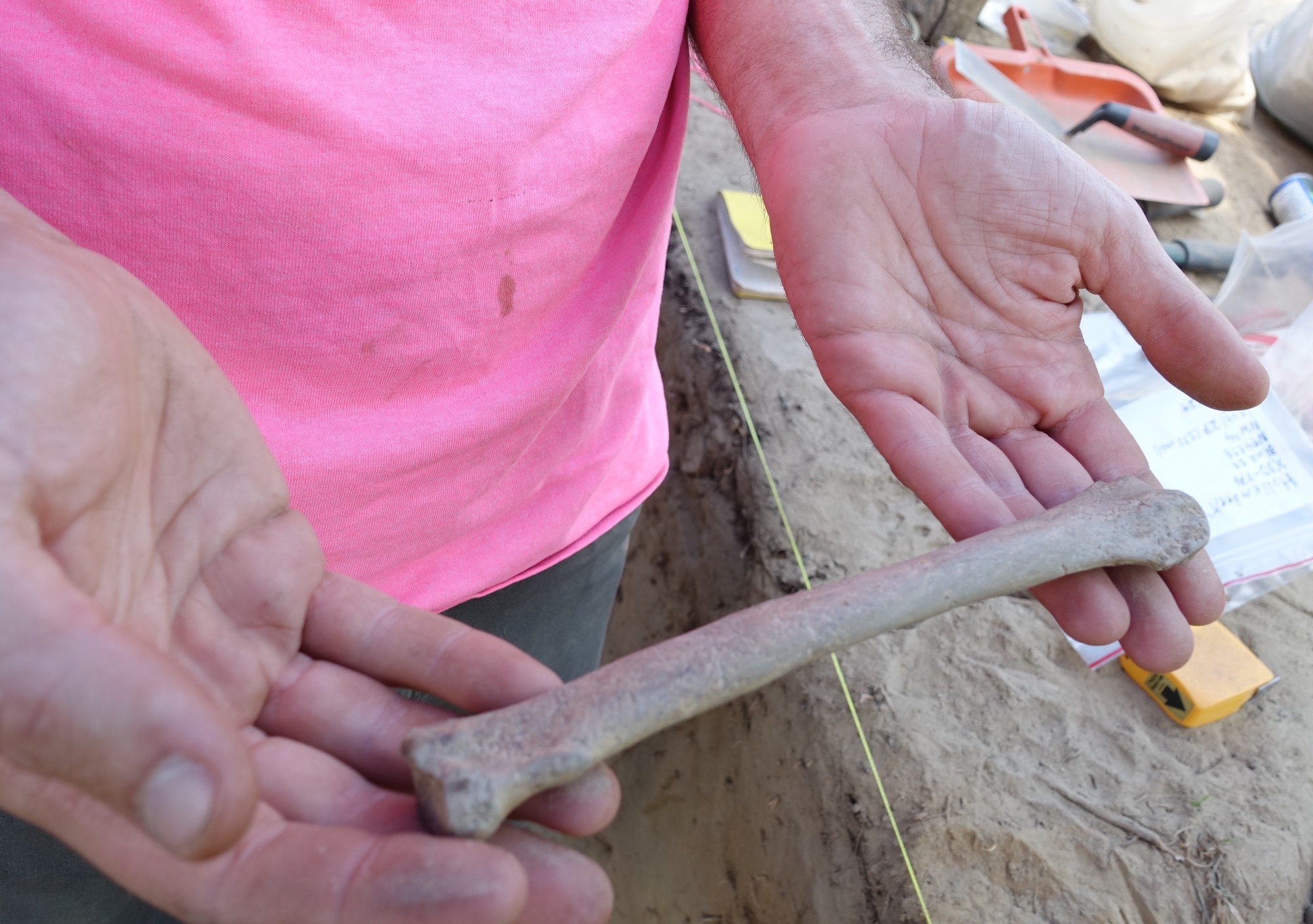 A person wearing a pink shirt holds a bone in their two hands. Behind and below is an area of dirt marked off with string and strewn with archaeology tools, including plastic collection bags and a tape measure, trowel and notebook.