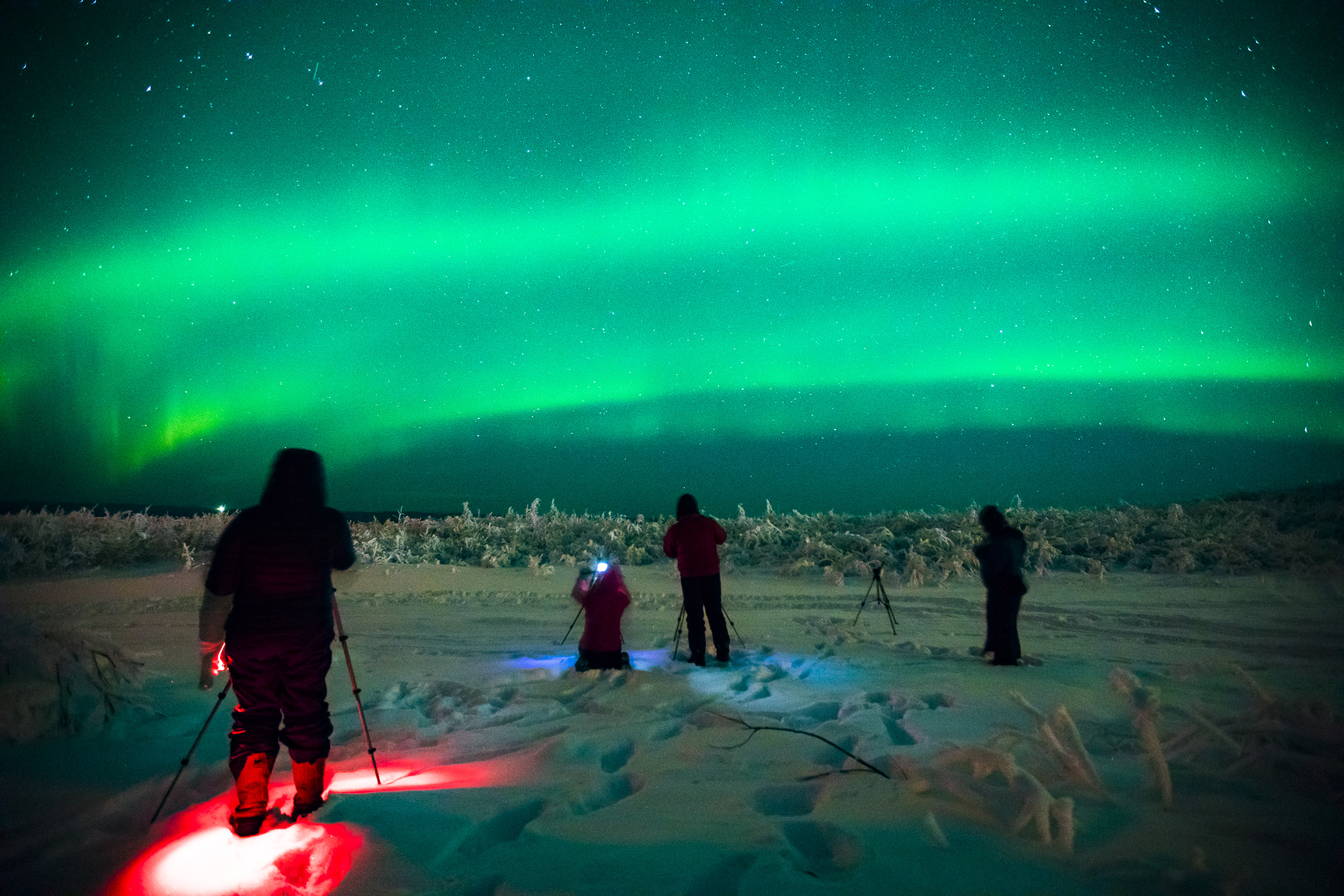 Auroras during an Outdoor Adventures outing.