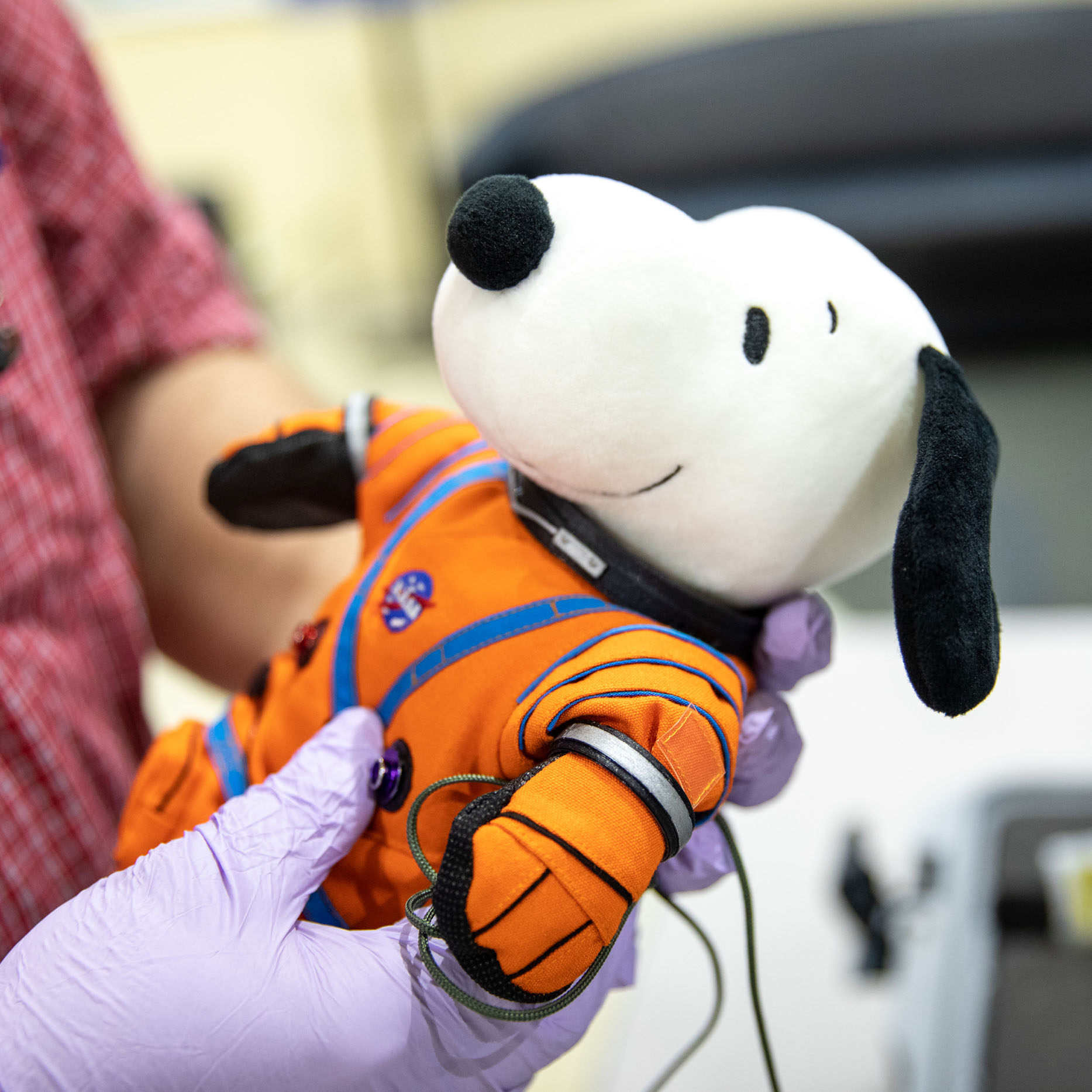 Snoopy doll being unpacked after flying aboard the successful Artemis I mission beyond the moon and back.