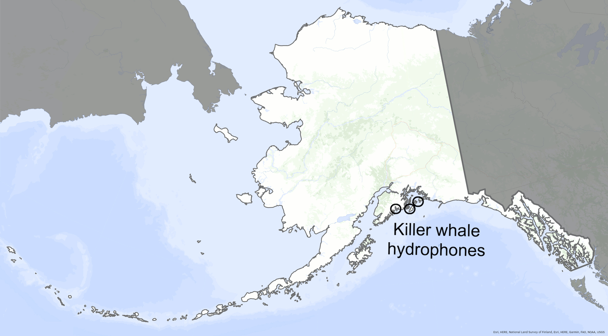 Circles mark the locations of Hannah Myers' hydrophones in the Gulf of Alaska.