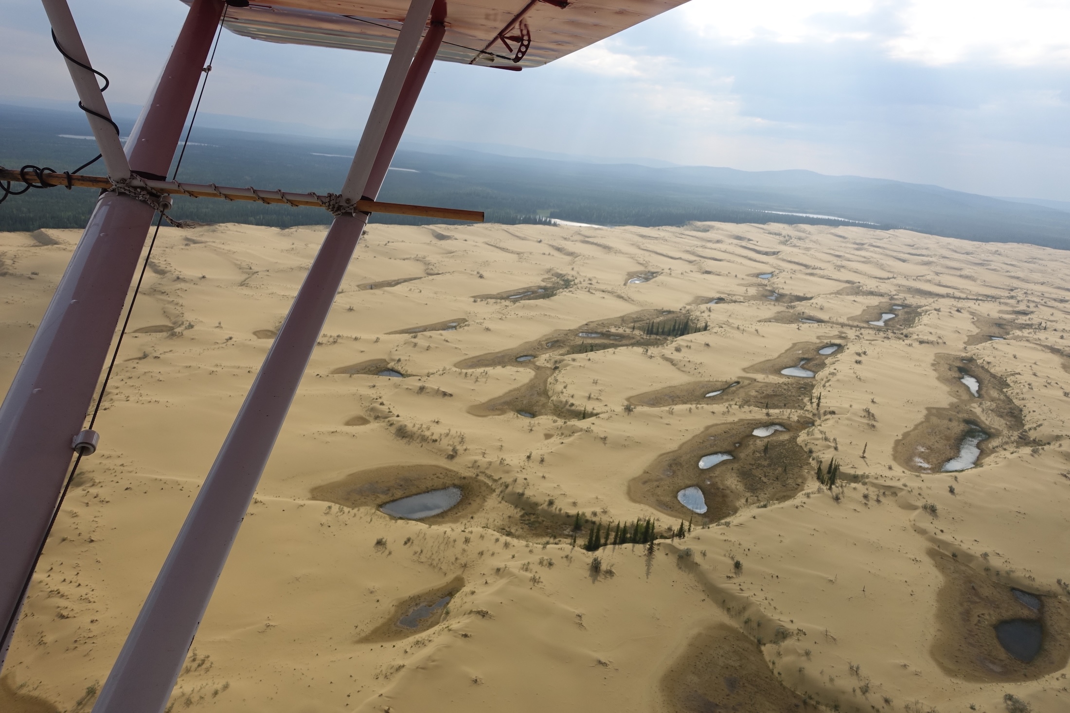 Sand dunes are studded with small ponds and a few trees in a photo taken from a small plane, whose struts are visible in the photo. In the distance is a green forest.