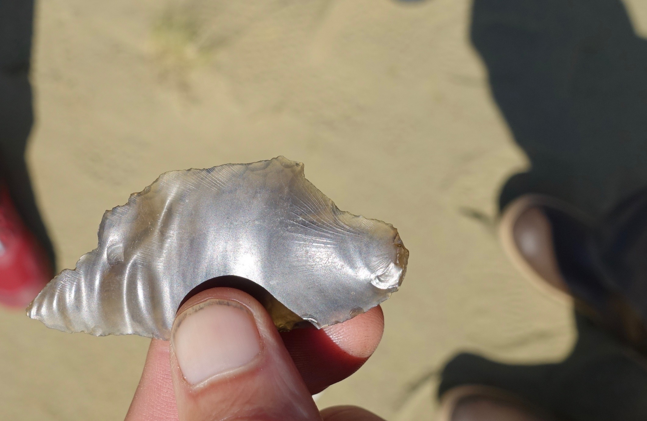 A person holds a shiny flake fo translucent rock.