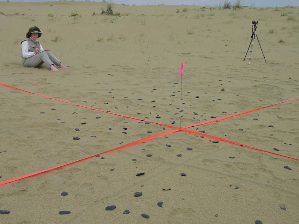 A person sits on sand studded with black rocks. A large X made of orange survey tape lies on the surface, with an upright wire wand stuck in the center of the X. A camera rests on a tripod beyond the area of black rocks and survey tape.