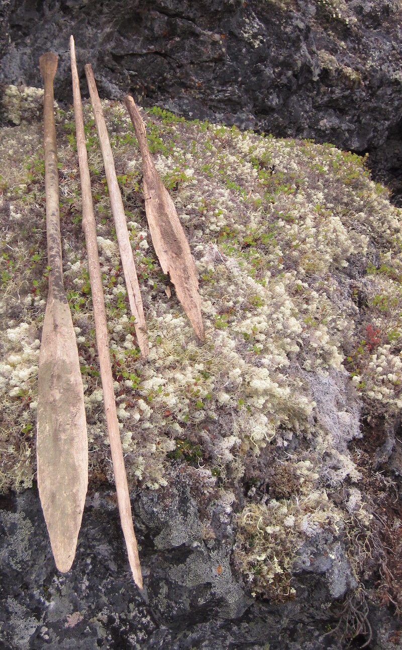 Two wooden kayak paddles and two spear shafts lie on a large lichen- and moss-covered rock.