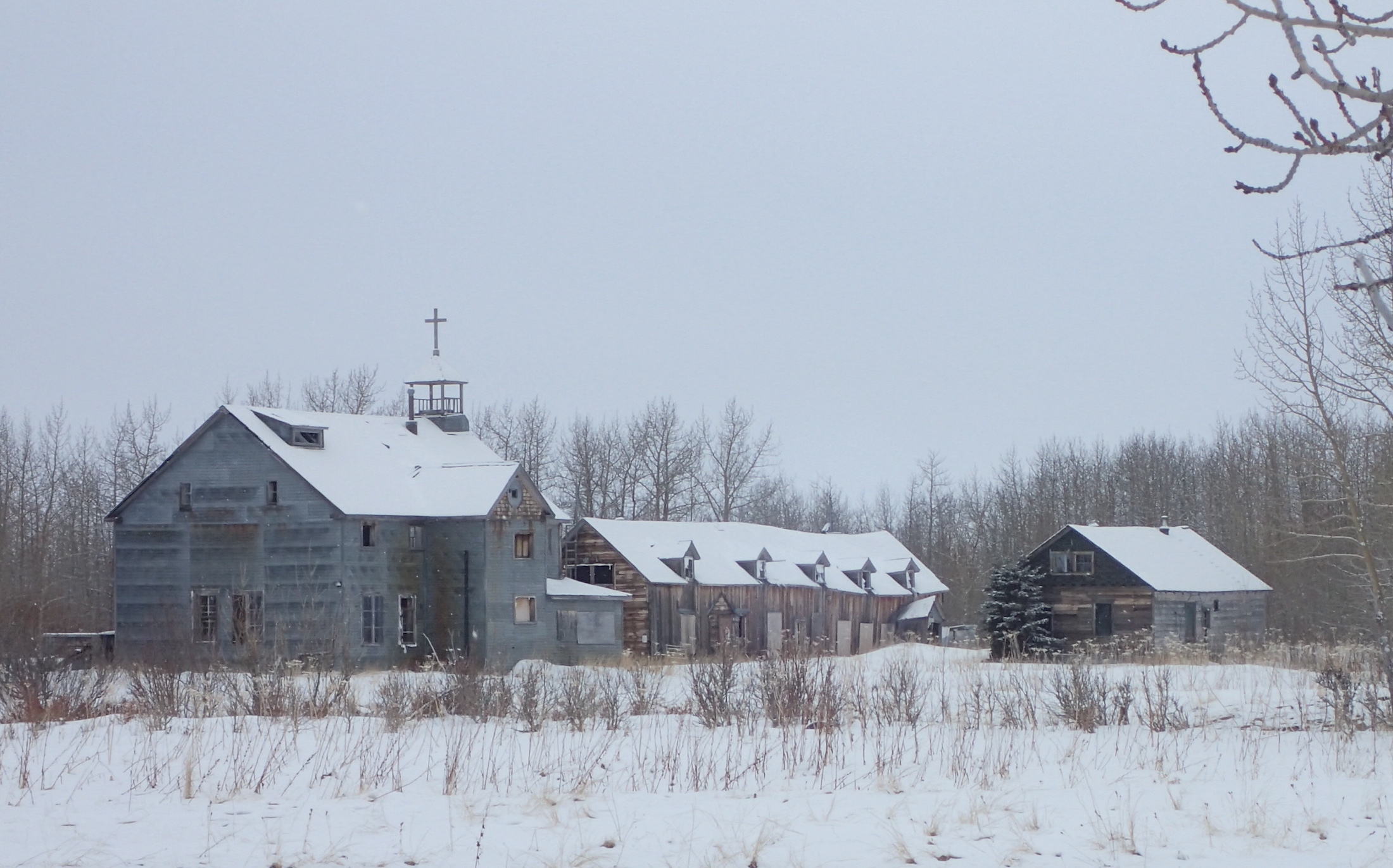 Abandoned buildings sit in a field surrounded by poplar trees, willows and a few spruce.