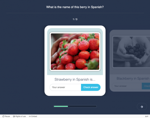 Screenshot of quiz application that asks, what is the word for strawberry in Spanish