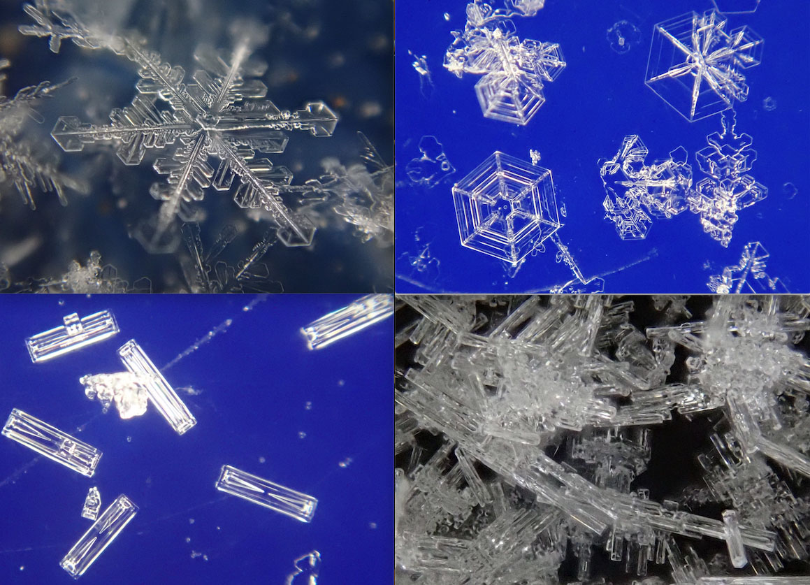 Photos of different types of snowflakes