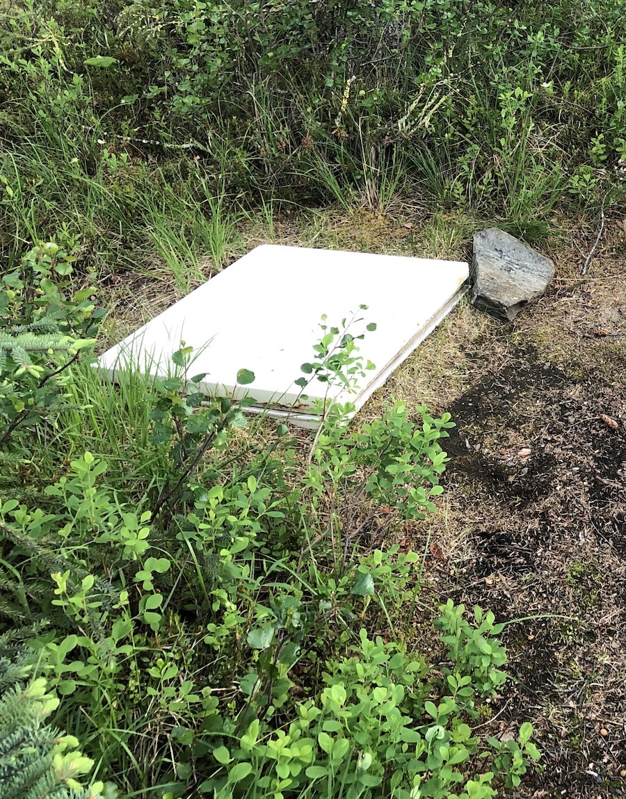 The white lid of a buried chest freezer lies almost level with grassy, mossy ground in an opening in brush.