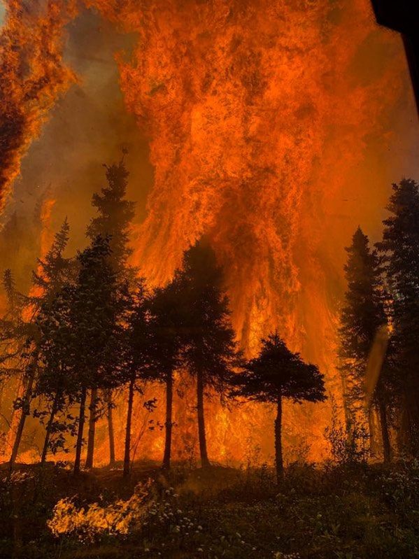 Wildfire burns trees on the Kenai Peninsula