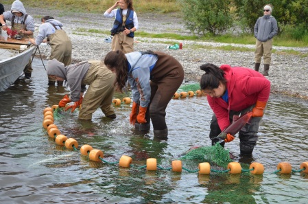 students with a net in a river