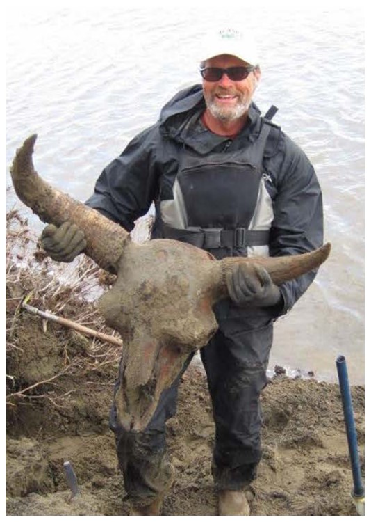 man holding a steppe bison skull