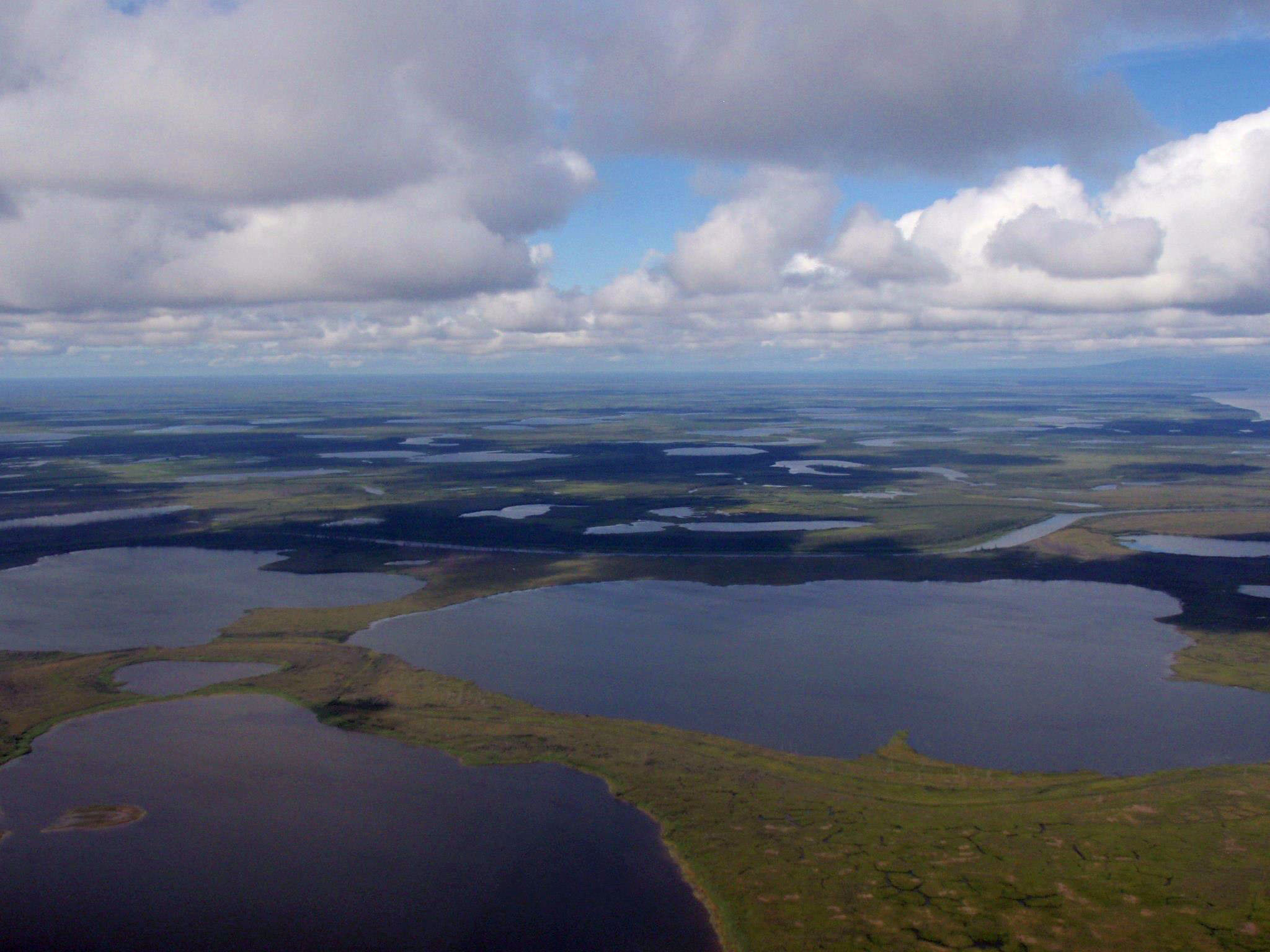 A view of thermokarst lakes on the Arctic tundra