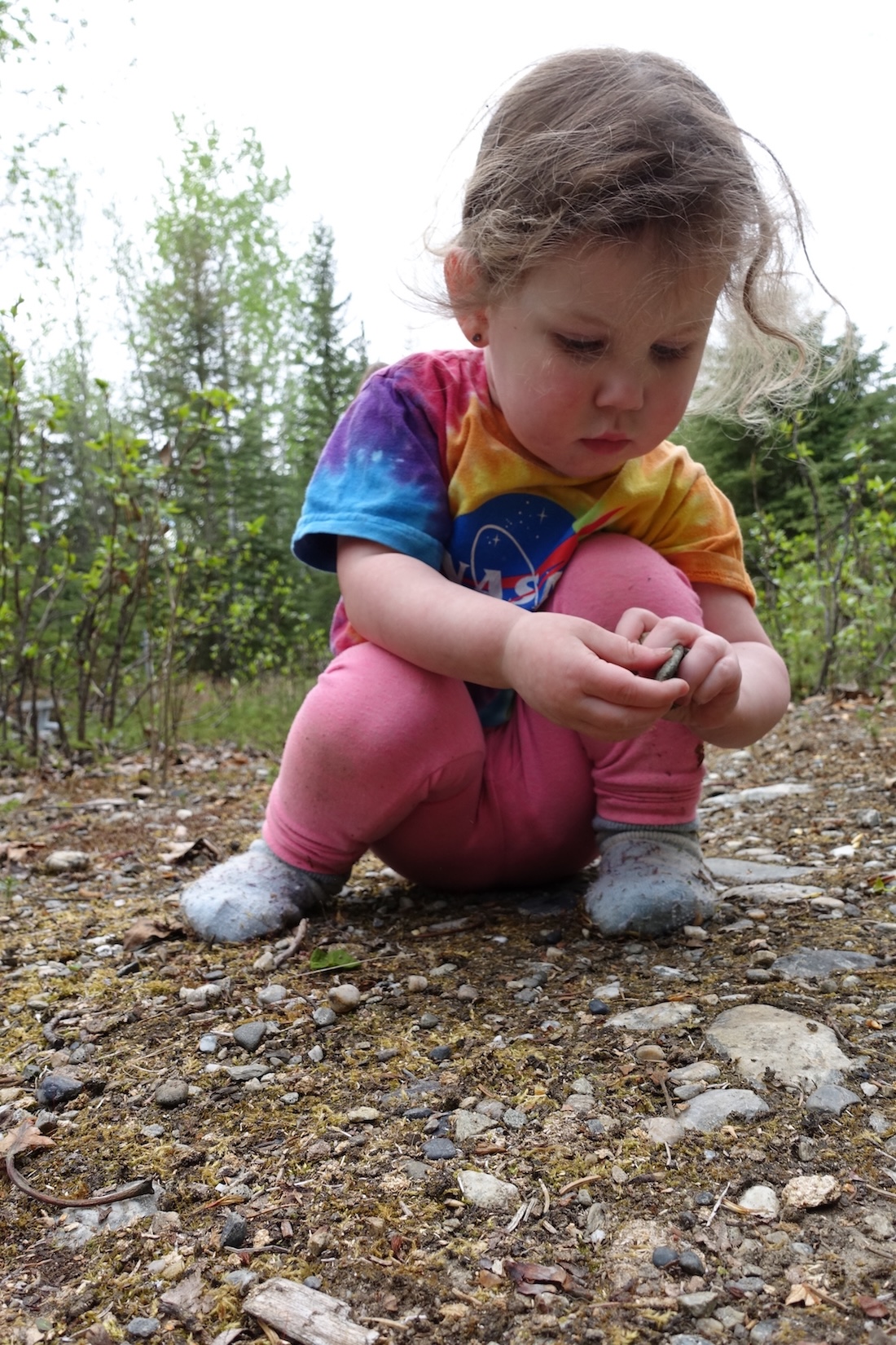 A 2-year-old girl in a multicolored shirt and pink pants picks up rocks from the ground.
