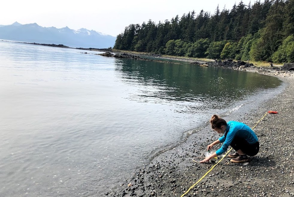 A woman crouches by the shoreline on a pebble beach while working with scientific sampling equipment on a sunny summer day. Beyond lies an evergreen-covered ridge, and, far across a larger water body, snow-topped mountains rise in the background.