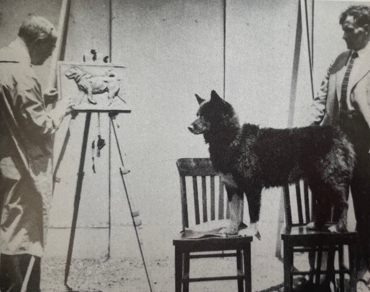 In this black and white photo, a husky-breed dog stands at attention on two chairs. A man in a long coat adjusts a panel on an easel in front of the dog. The panel features a sculpted relief image of a similar dog. Another man stands behind the dog on the chairs.