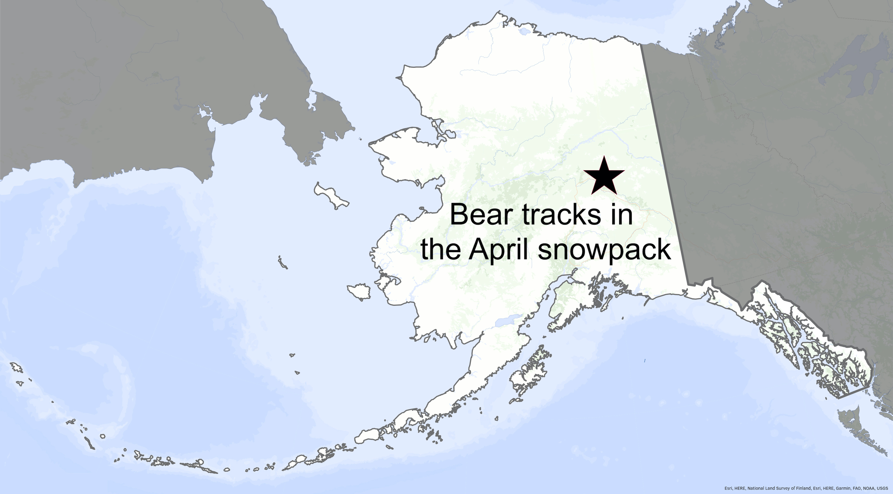 A star near the center of a map of Alaska indicates the location of recently spotted grizzly bear tracks.