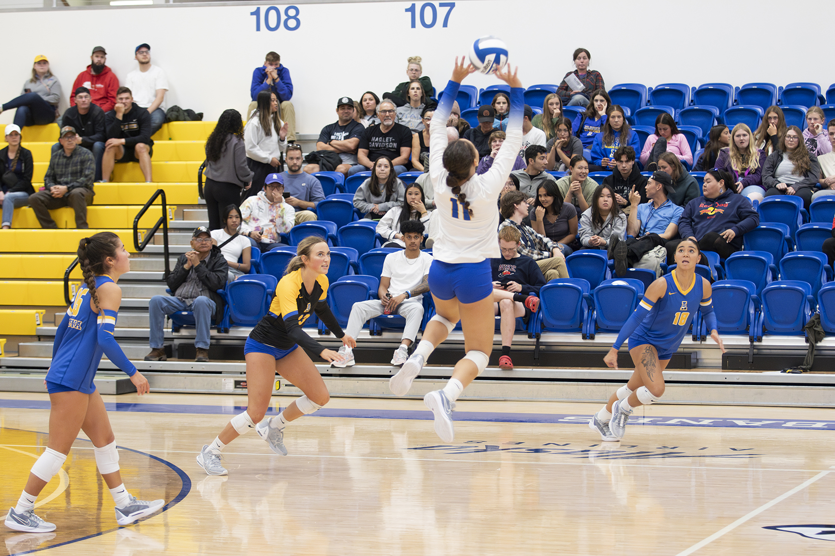 Nanooks Volleyball team during the Blue and Gold game on Aug. 24, 2024.