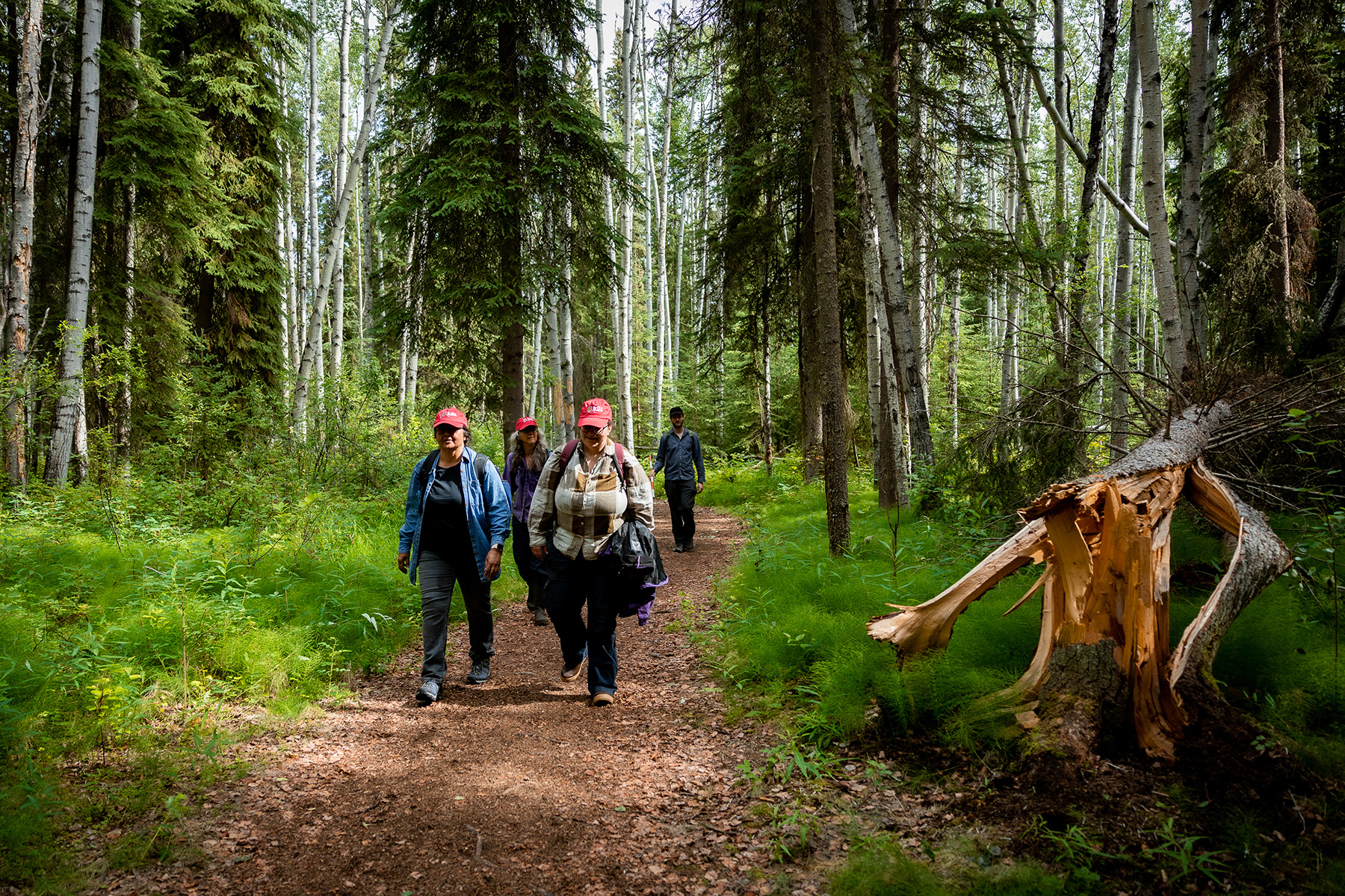 People walk along a trail on the UAF campus.