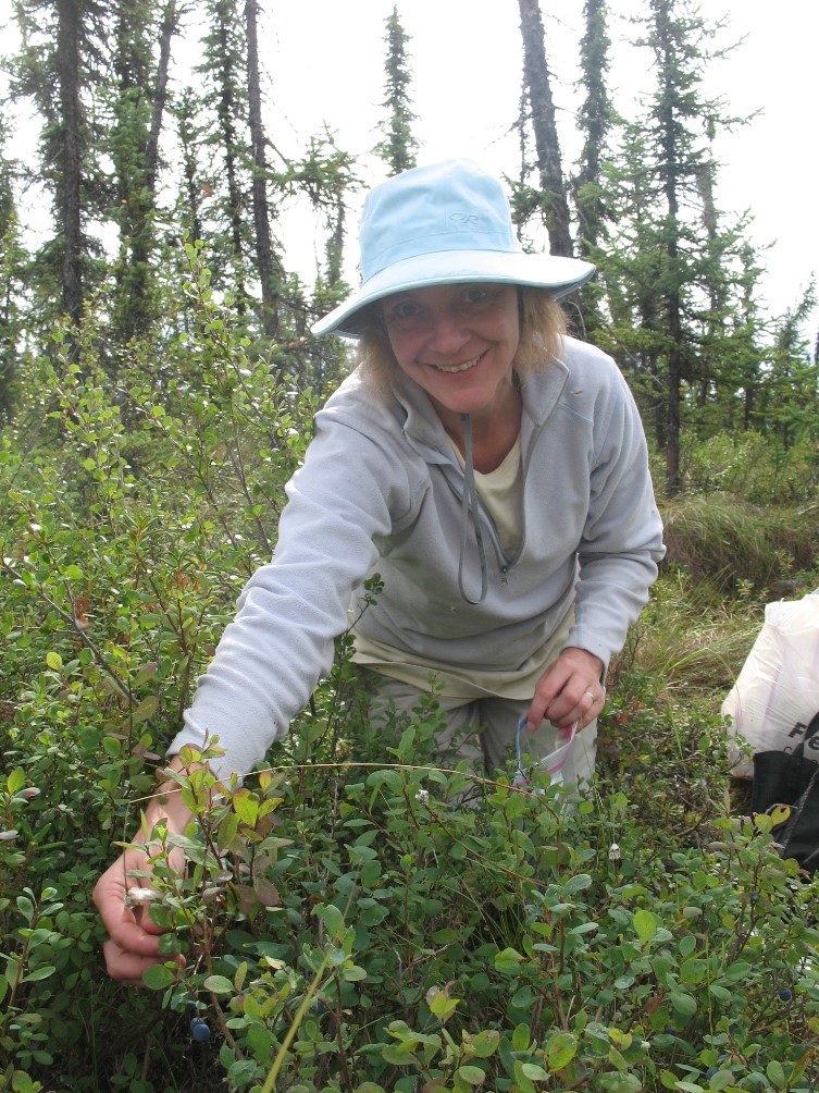 Christa Mulder in the field picking blueberries.
