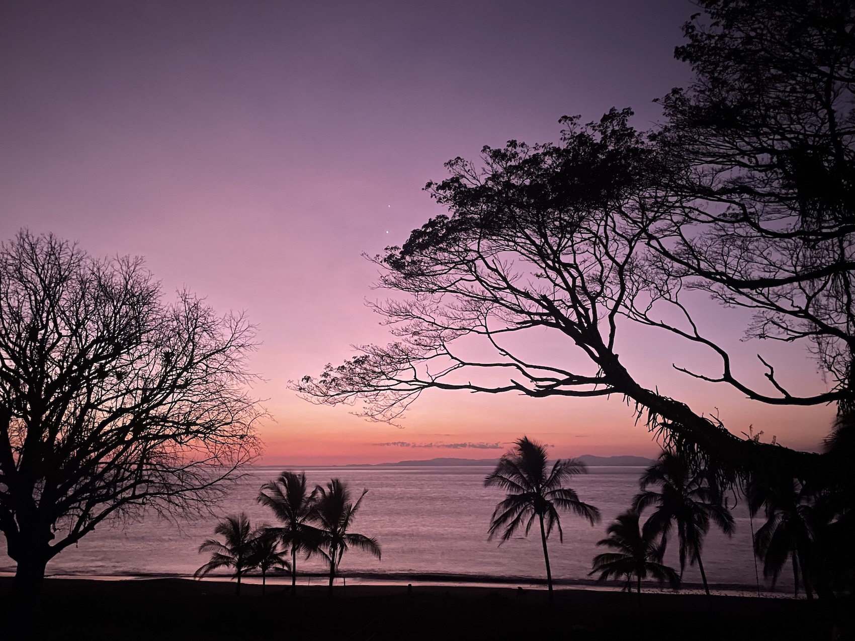 A pink sunset shines through trees along an ocean beach. Mountains lie low on a distant horizon beyond the sea.