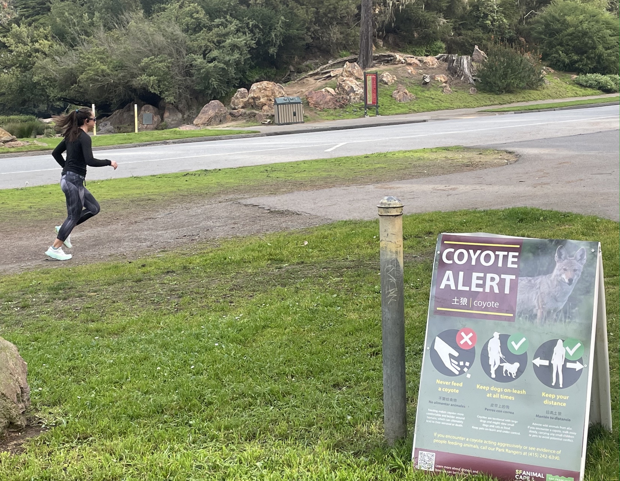 A jogger runs on an urban trail. In the foreground is a sign that reads, "Coyote Alert: Never feed a coyote. Keep dogs on leash. Keep your distance."