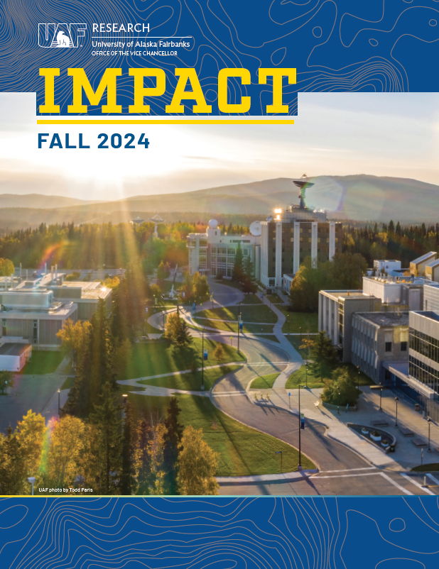 Cover for the fall 2024 edition of Impact, the VCR office's research publication.