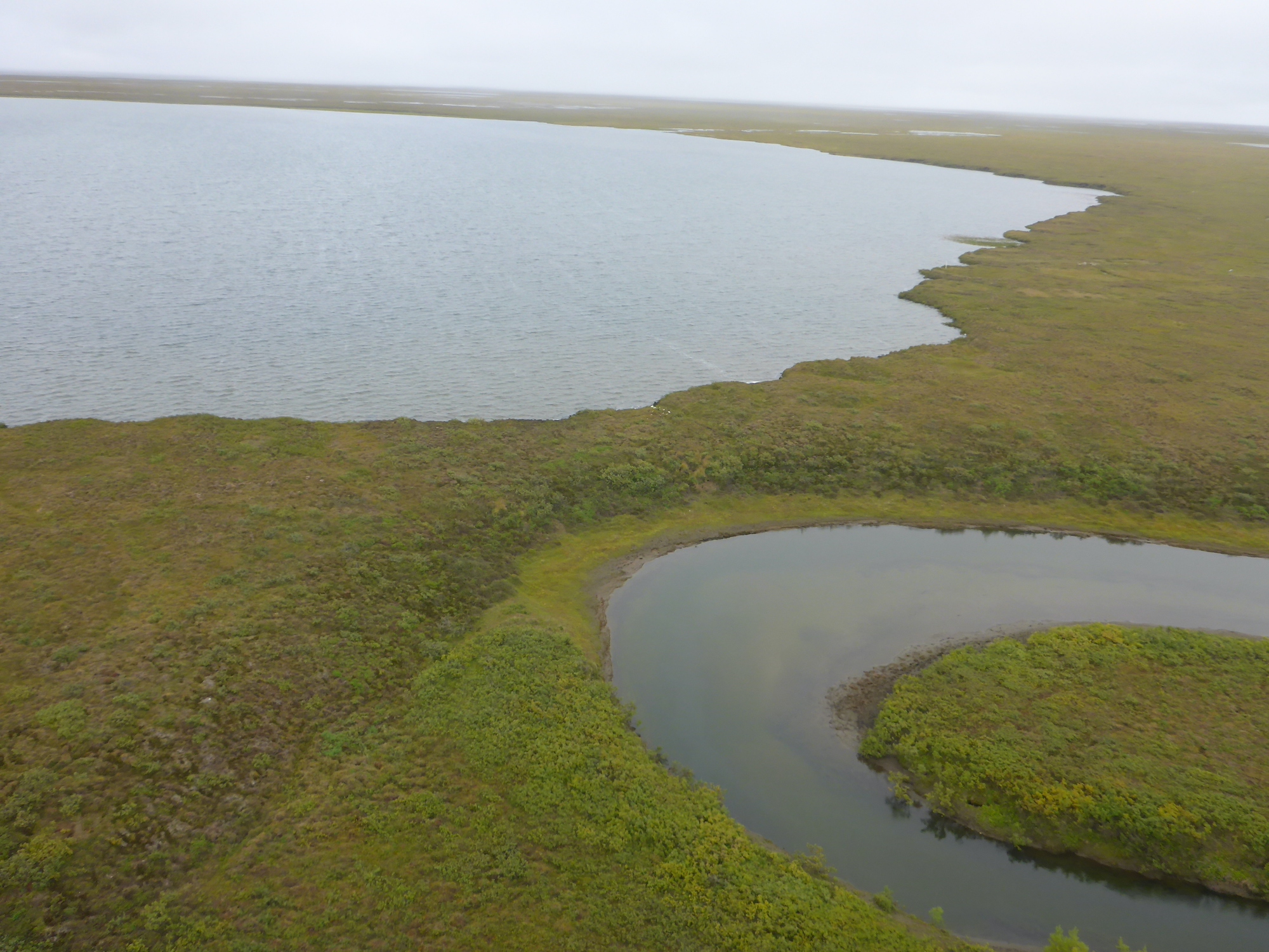 Two bodies of water are separated by an isthmus of green tundra.