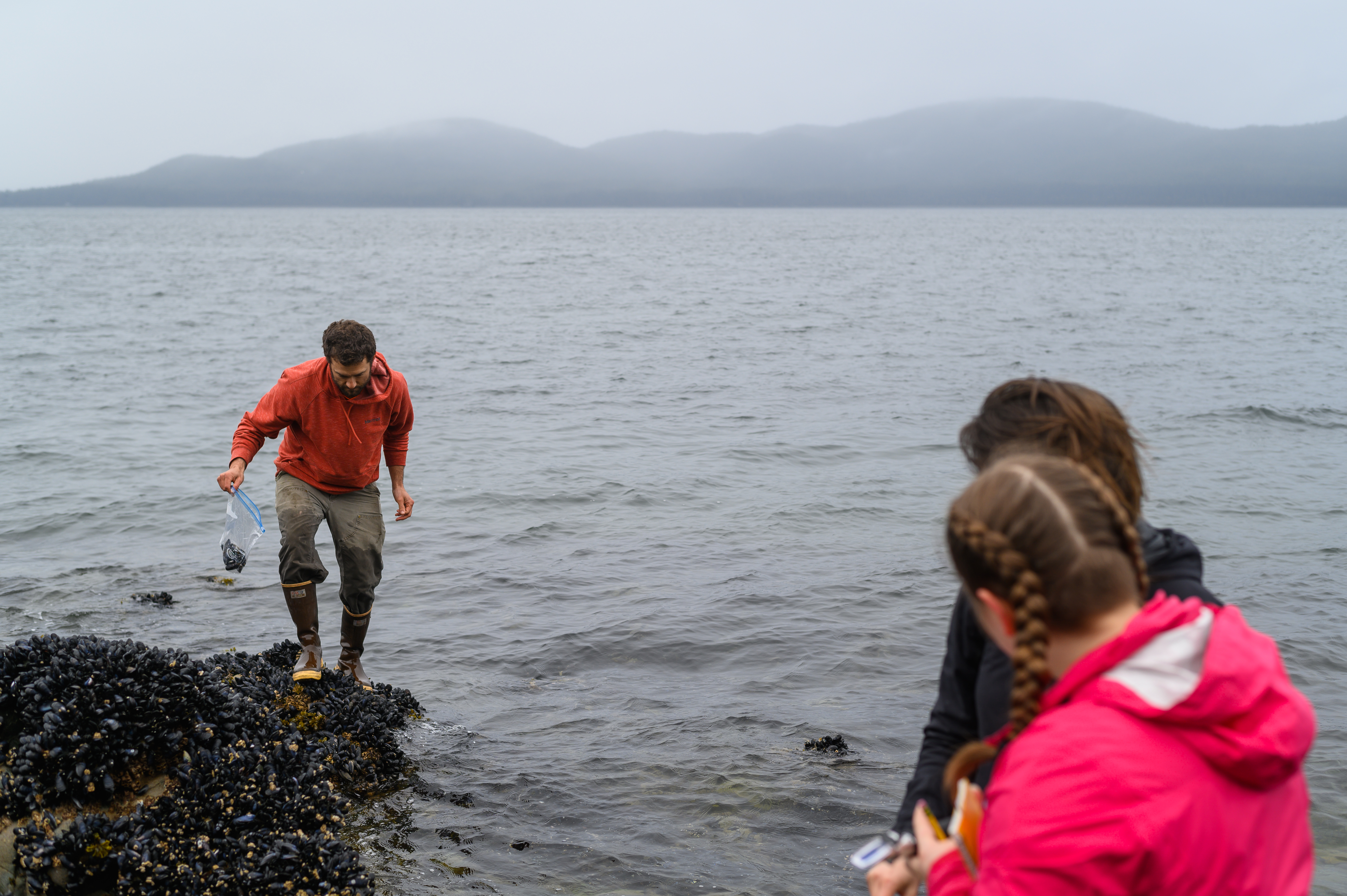 A man collects clams from a rocky shore as two assistants observe nearby.