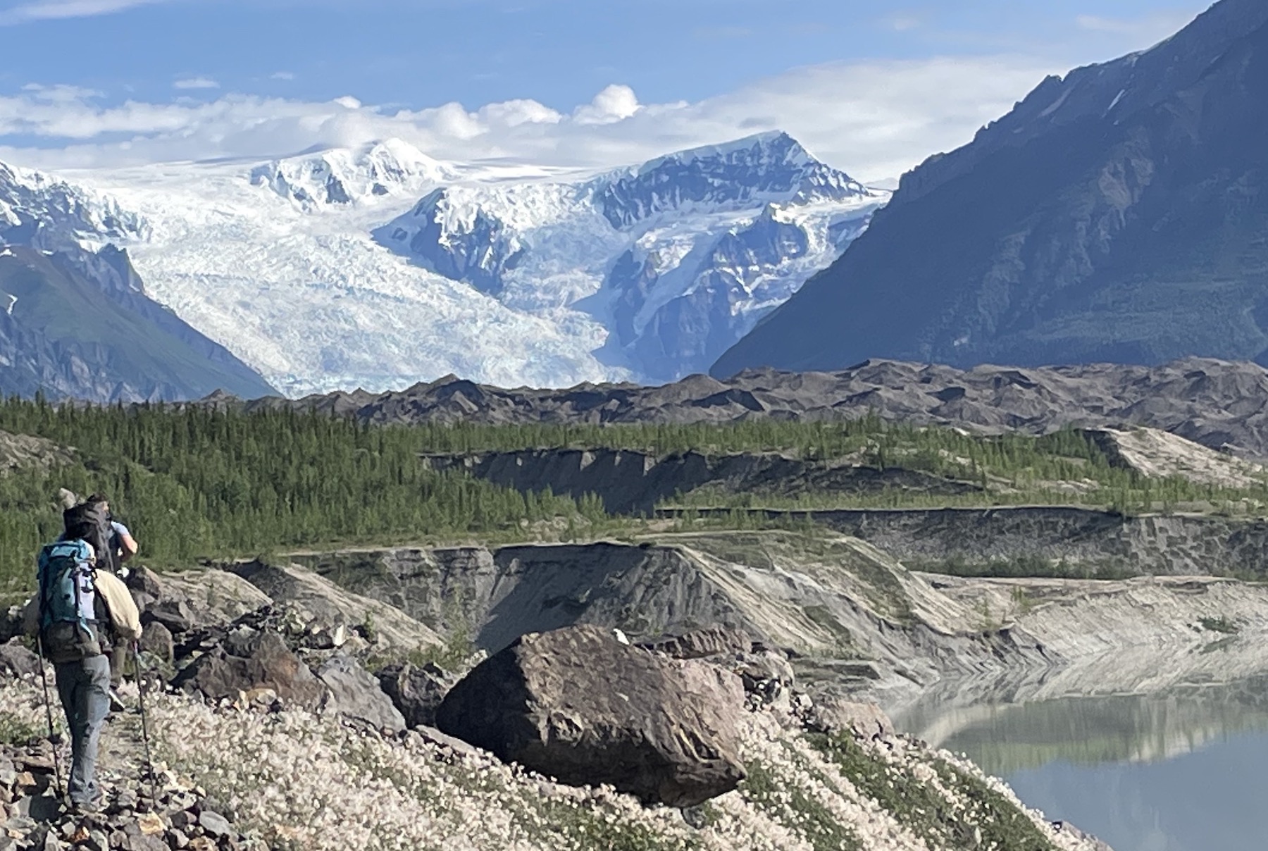 Two people on the left side of the photo walk along a boulder-strewn gravel moraine partly covered with white wildflowers. A water body lies to the right of the hikers and flowers. Evergreen and deciduous trees grow on gravel benches between the hikers and the jumbled, dirt-covered lower end of a glacier.  Snow-covered mountains and glaciers rise in the background.