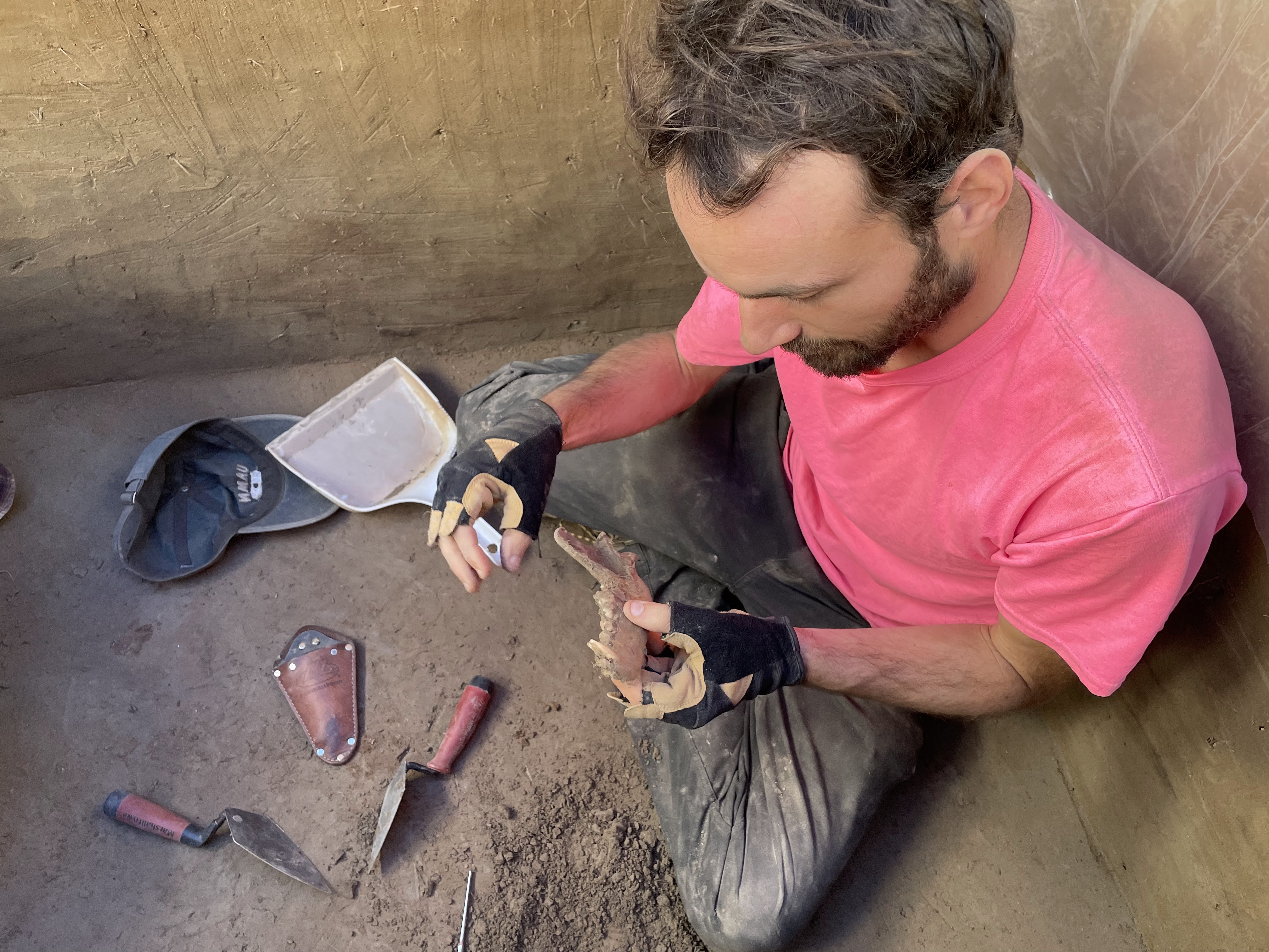 A person sits at the bottom of a square hole dug in the ground. He is holding an animal jaw bone.