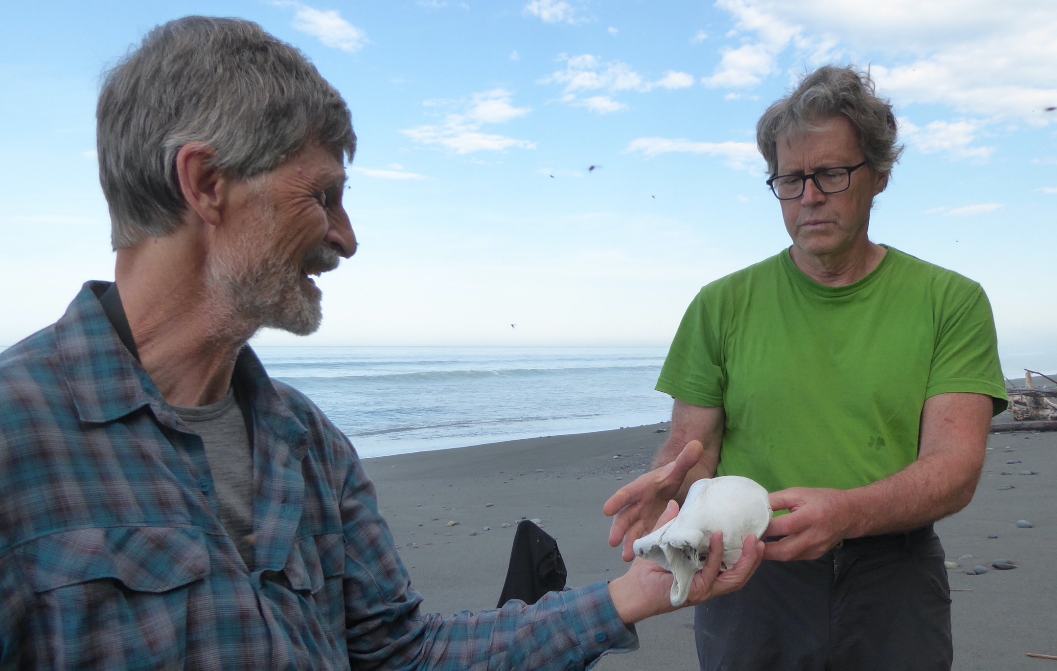 Two men look at a skull while standing on an ocean beach.