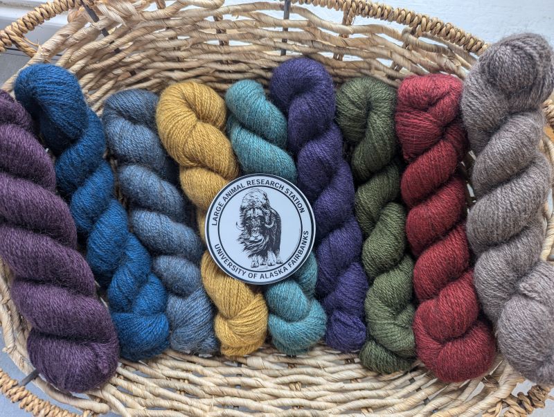 Basket of qiviut yarn colors new for 2024.