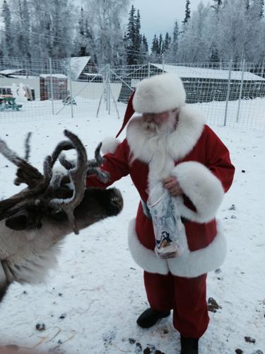 Photo of Santa Claus from the Santa Claus House in North Pole, Alaska, visiting with the reindeer.