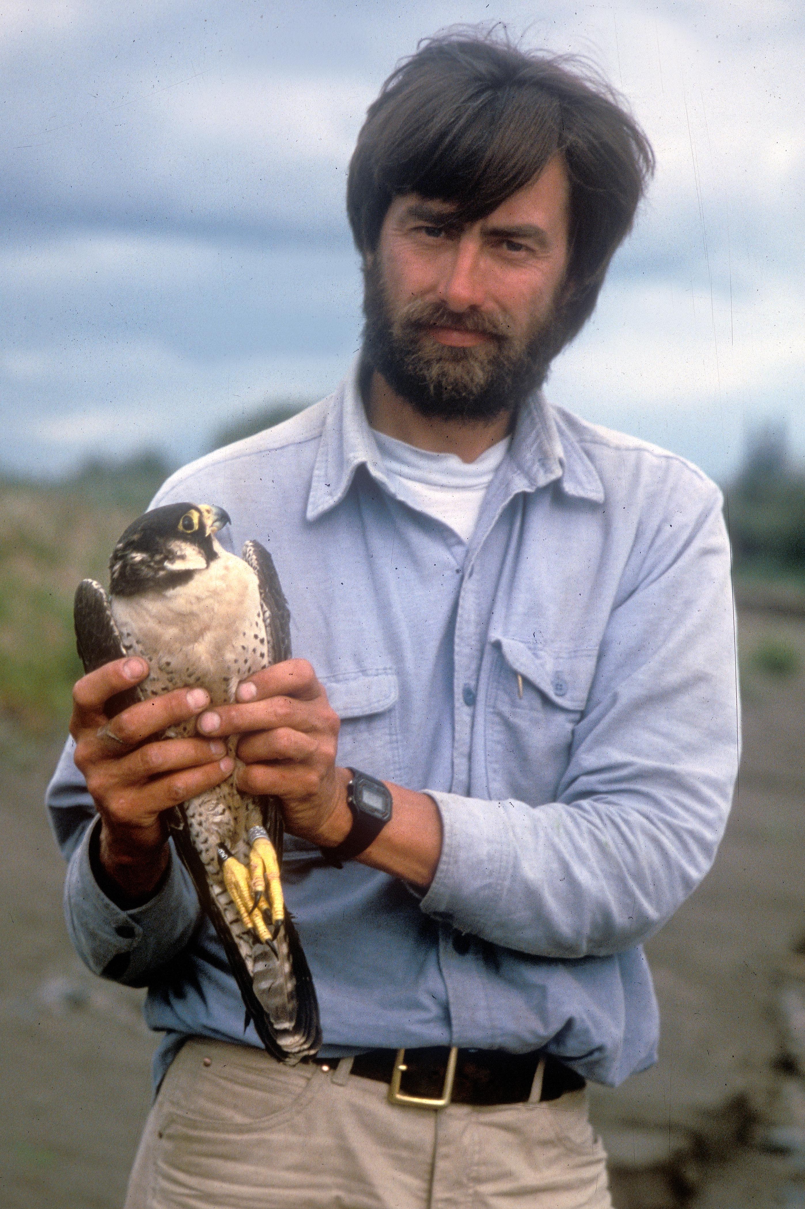 A bearded man looks into the camera holding a peregrine falcon with both hands. The bird gazes back at him.