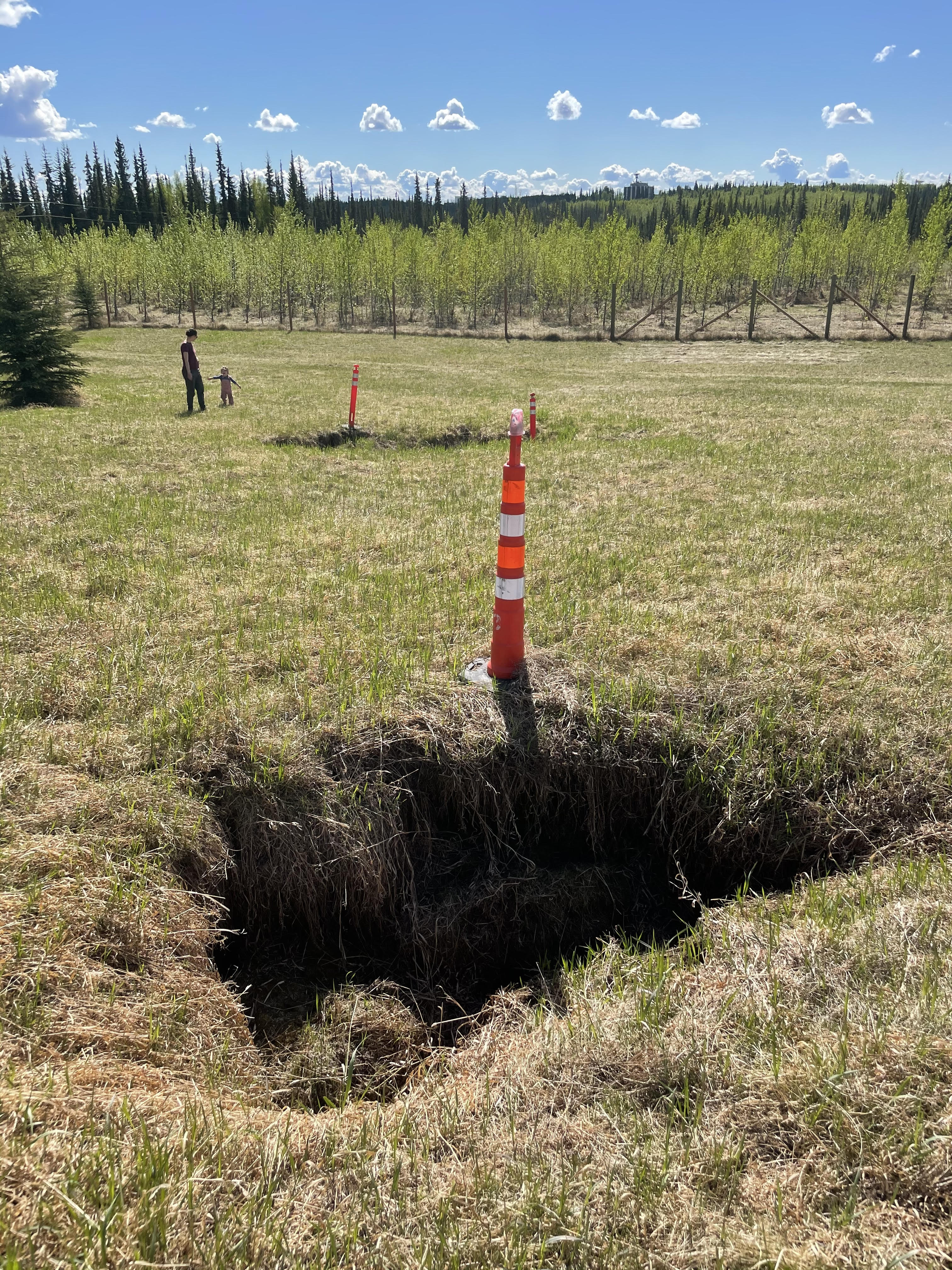 A hole in a grassy field with an orange caution cone.